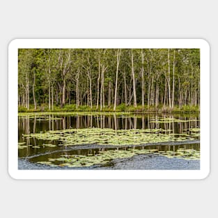 Urunga Wetlands 03 Sticker